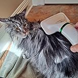 Secador De Pelo Peine Para Mascotas 2 En