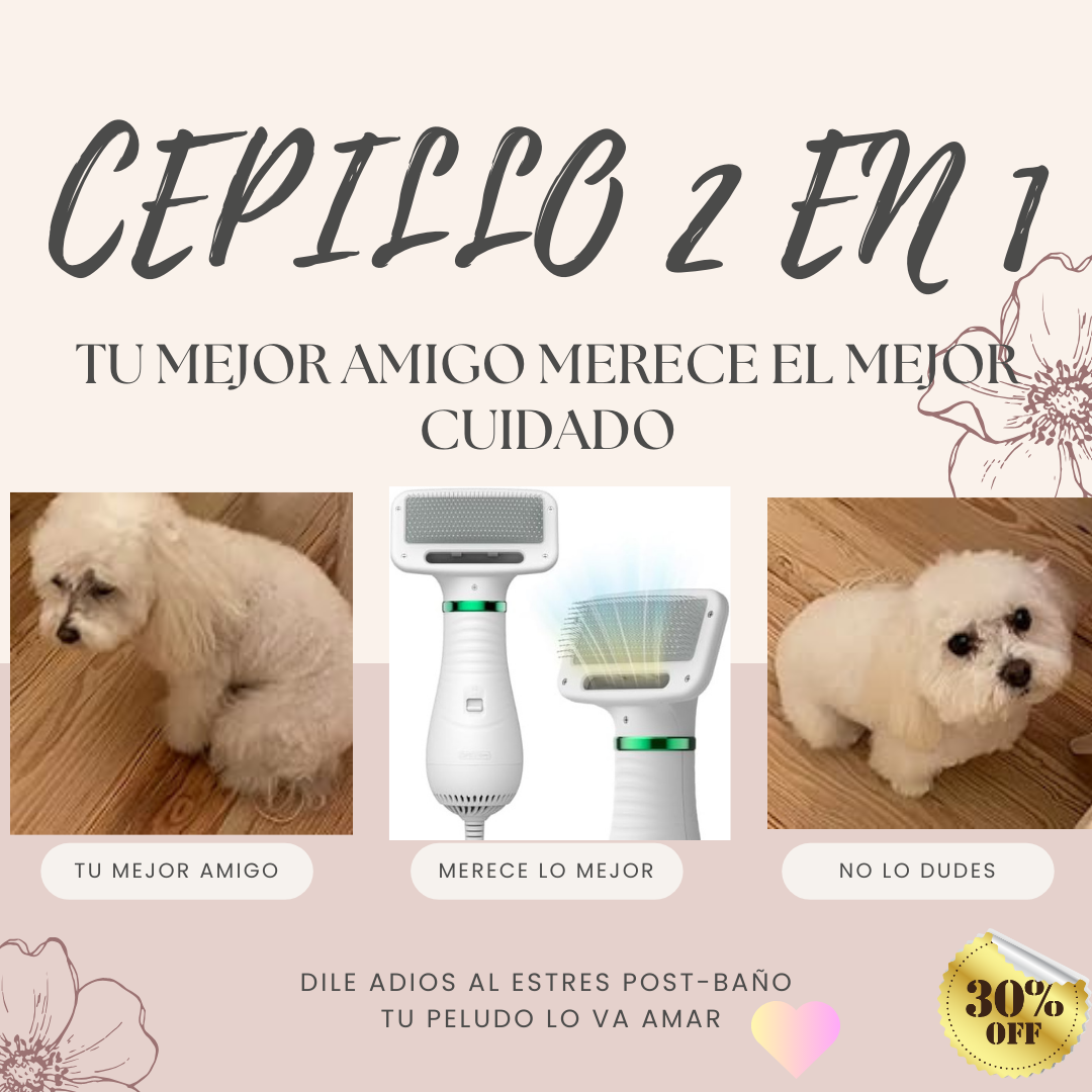 Secador De Pelo Peine Para Mascotas 2 En